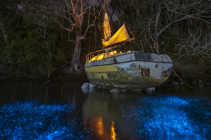 Bioluminescent Kayak Tour - Photo 1 of 6